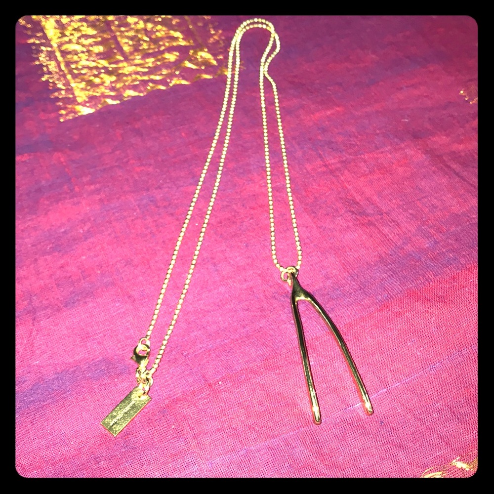 Marc Jacobs Wishbone Necklace